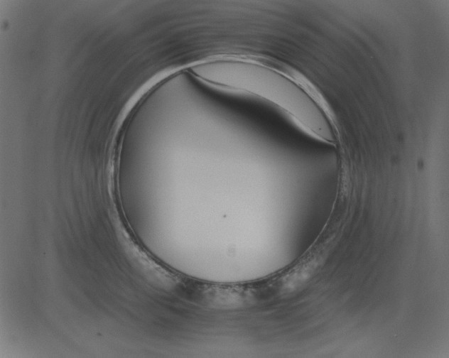 X0000081290955200702012241