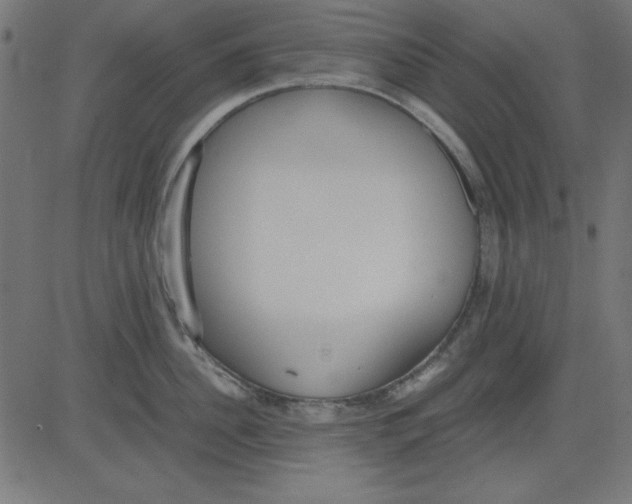 X0000081290956200702012241