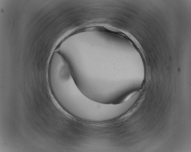 X0000081290957200702012241