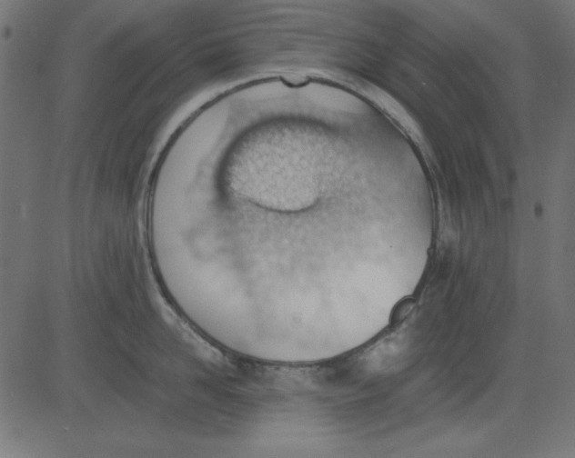 X0000081290958200702012241