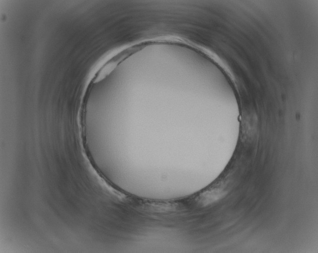 X0000081290959200702012241