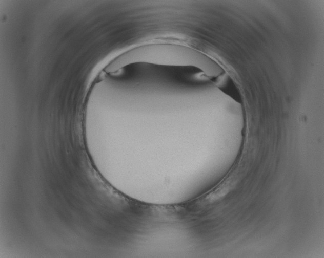 X0000081290960200702012241