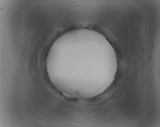 X0000081290961200702012240