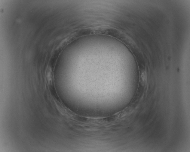 X0000081290963200702012240