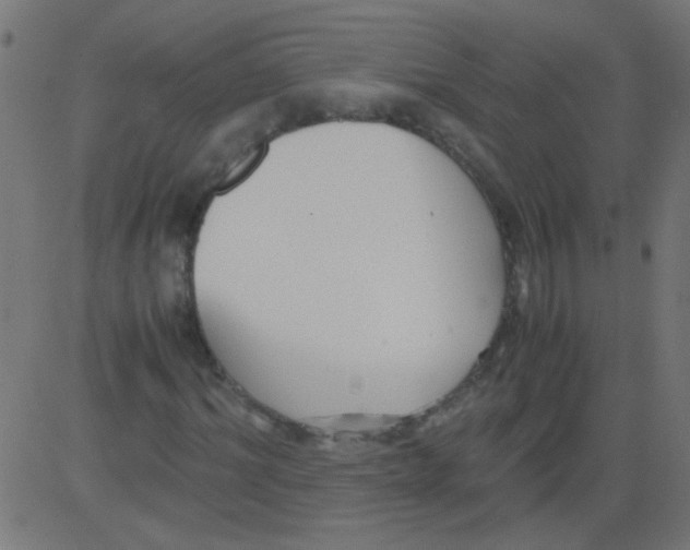 X0000081290964200702012240