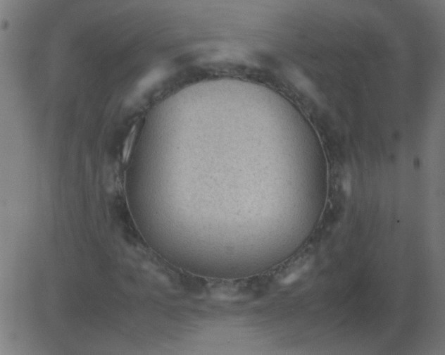 X0000081290965200702012240