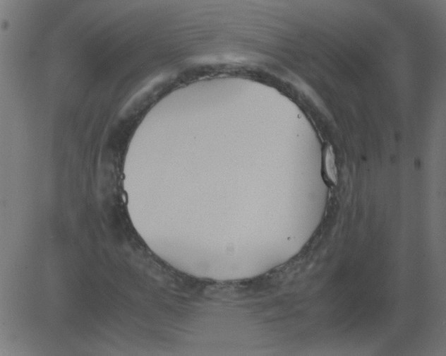 X0000081290967200702012240