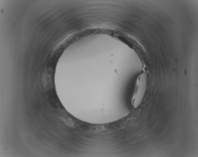 X0000081290968200702012240