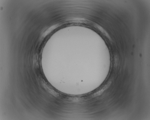 X0000081290970200702012240