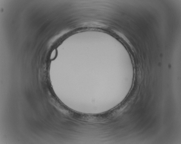 X0000081290971200702012240