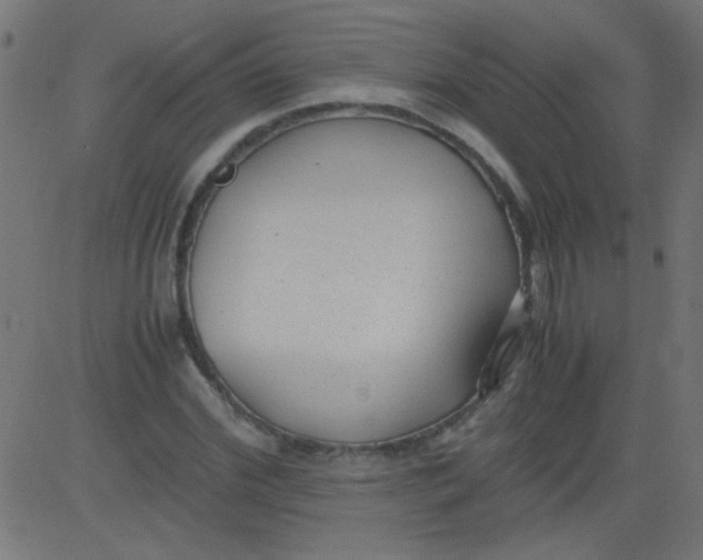 X0000081290972200702012240