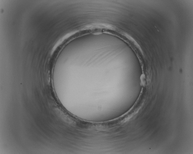 X0000081290973200702012240