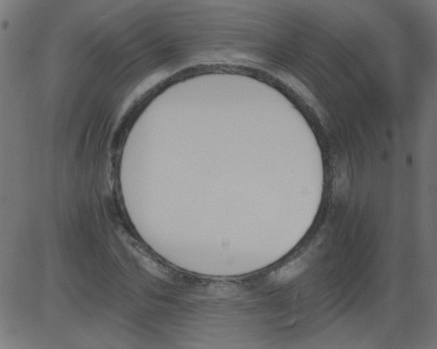 X0000081290974200702012240