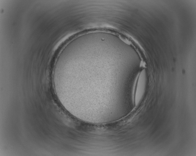 X0000081290975200702012240