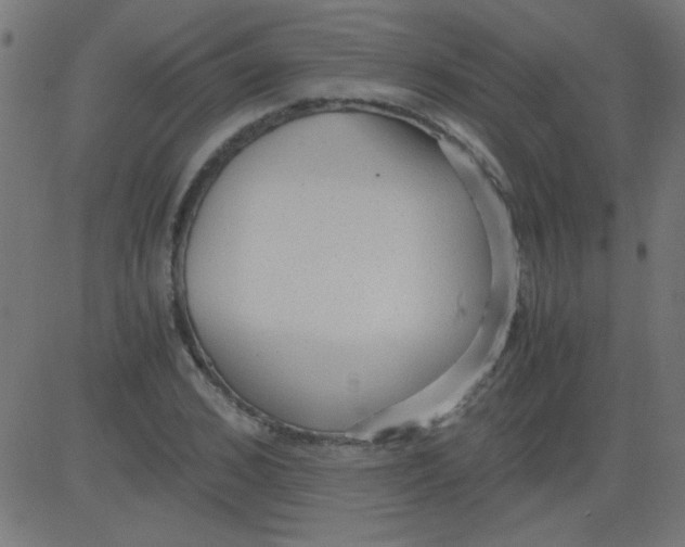 X0000081290976200702012240