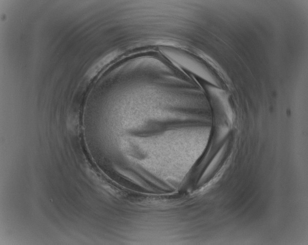 X0000081290977200702012240