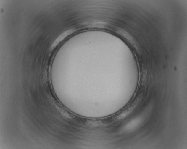 X0000081290978200702012240