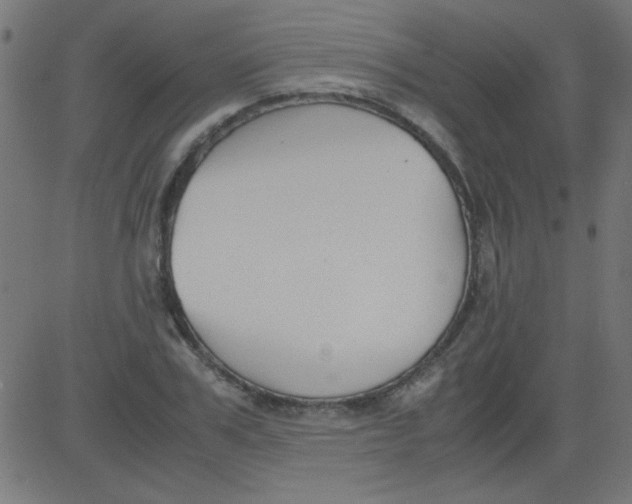 X0000081290979200702012240