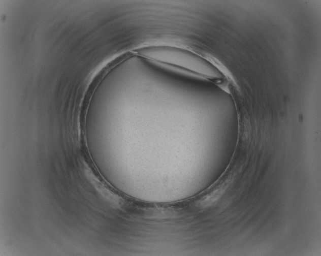 X0000081290980200702012240