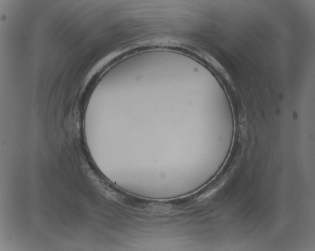 X0000081290981200702012240