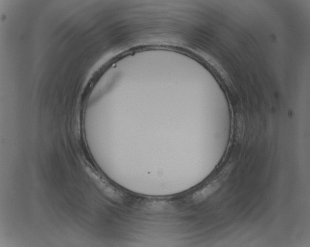 X0000081290982200702012240