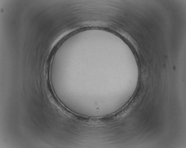 X0000081290983200702012240