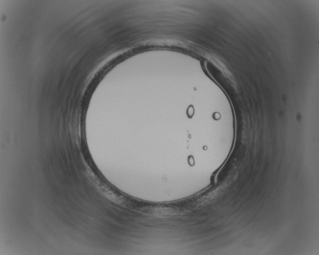 X0000081290984200702012240