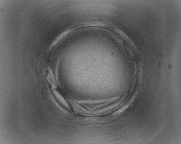 X0000081290985200702012240