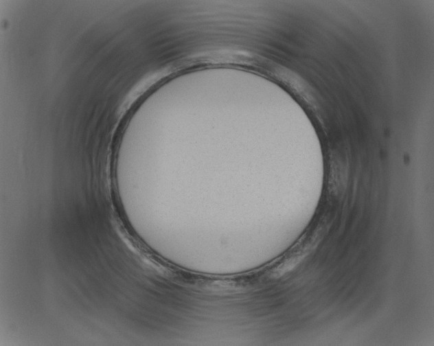 X0000081290986200702012240