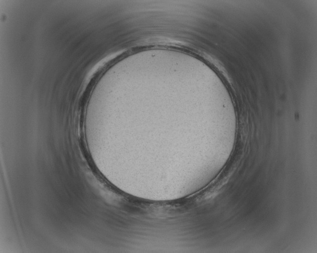 X0000081290987200702012240