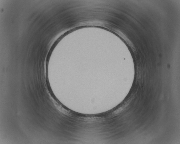 X0000081290988200702012240