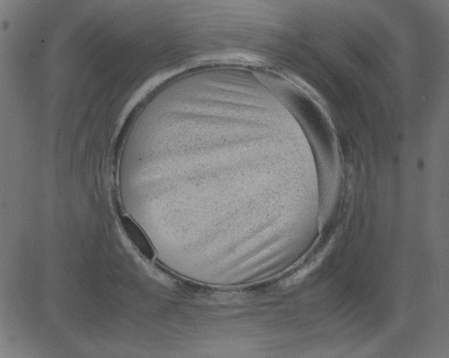 X0000081290989200702012240