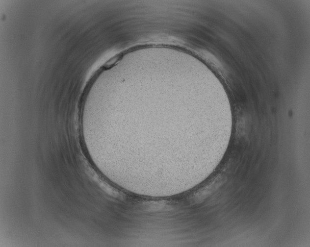 X0000081290990200702012240