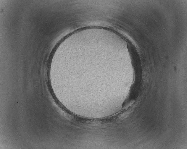 X0000081290991200702012240