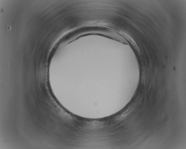 X0000081290992200702012240