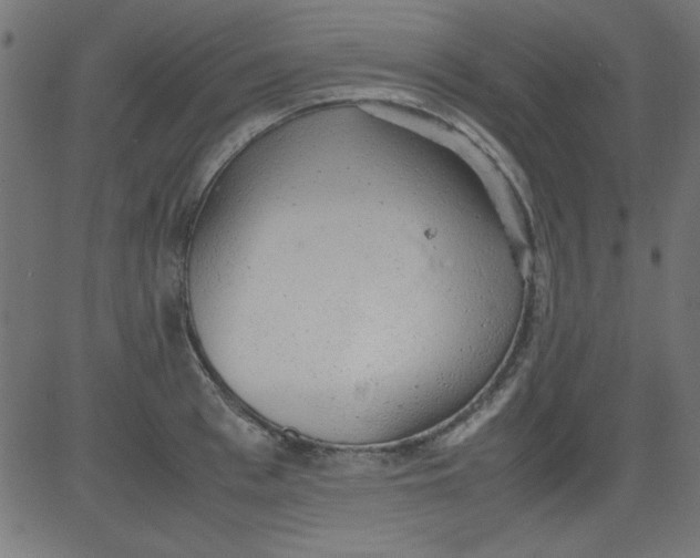 X0000081290993200702012240