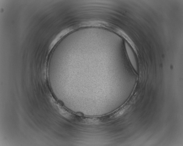 X0000081290994200702012240