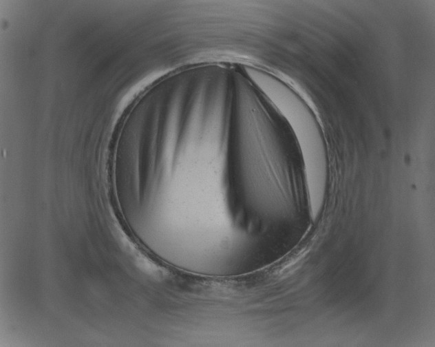 X0000081290995200702012240