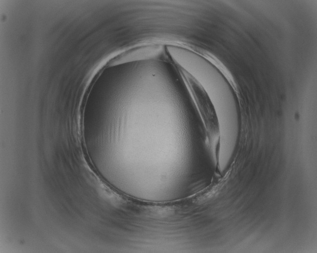 X0000081290996200702012240