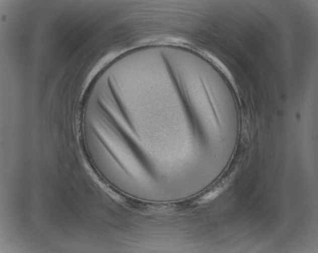 X0000081290997200702012239