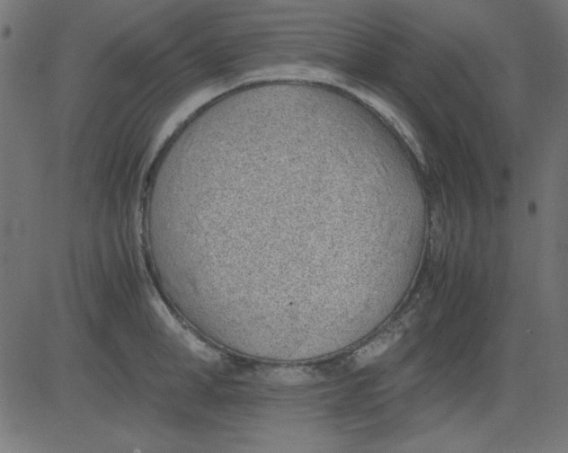 X0000081290998200702012239