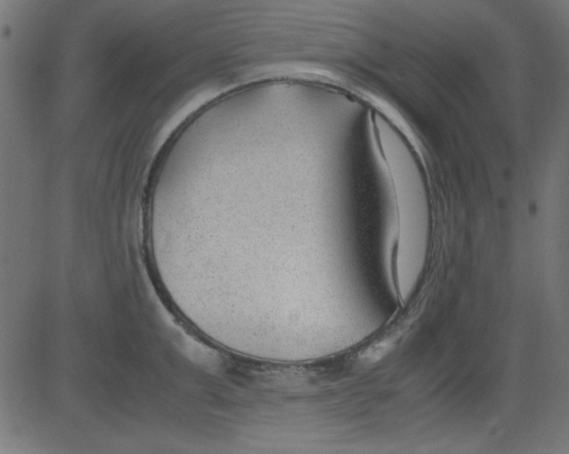 X0000081290999200702012239