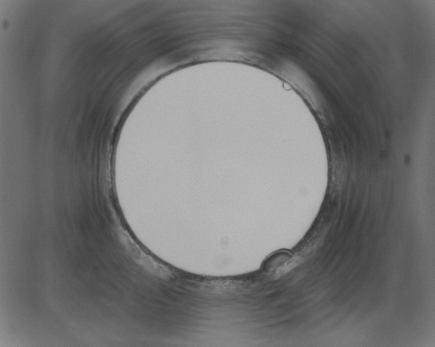 X0000081291000200702012239