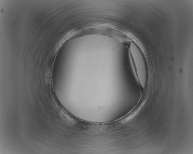 X0000081291001200702012239