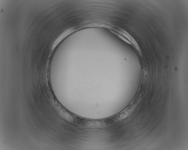 X0000081291002200702012239