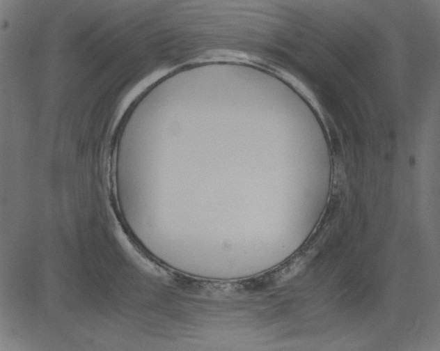 X0000081291003200702012239