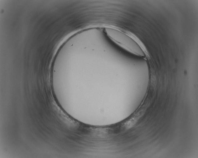 X0000081291004200702012239