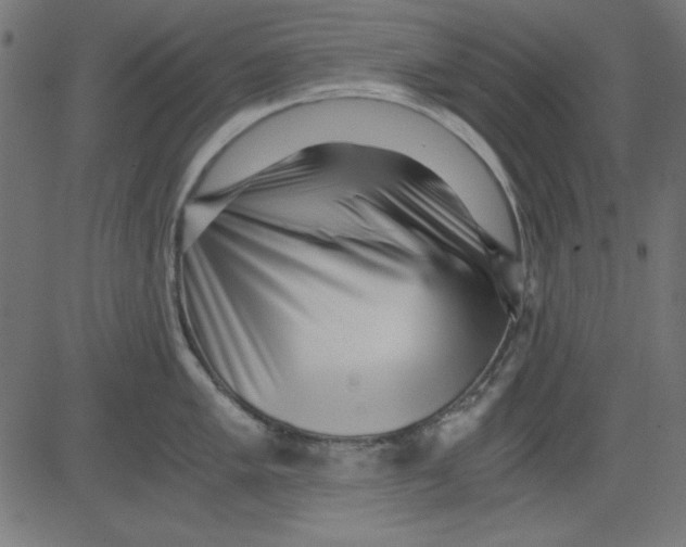 X0000081291005200702012239