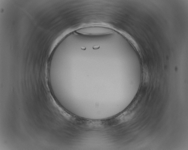 X0000081291006200702012239