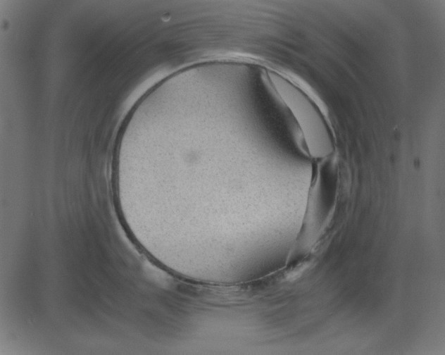 X0000081291007200702012239